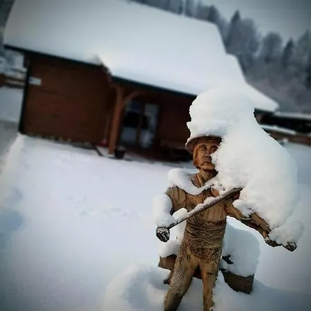 Na Berechu W Gorach-pieniny Chalet